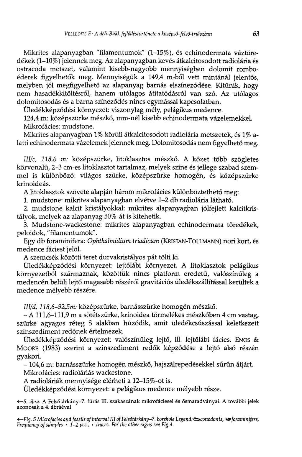 VELLEOITS F.: A déli-bükk fejlődéstörténete a középső-felső-triászban 63 Mikrites alapanyagban "filamentumok" (1-15%), és echinodermata váztöredékek (1-10%) jelennek meg.