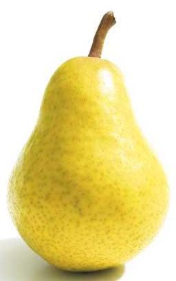 Nyári fajták