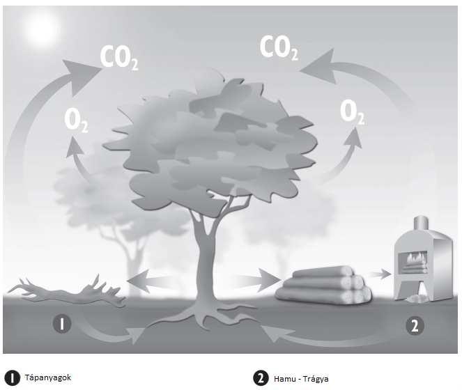 Fa: egy környezetbarát energia A fa egy megújuló energiaforrás, amely megfelel a 21. század energiával és környezetvédelemmel szemben támasztott követelményeinek.