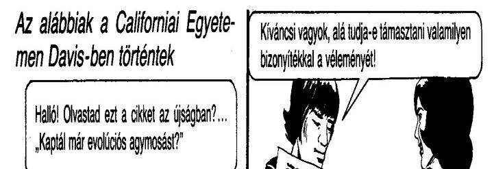 lettünk
