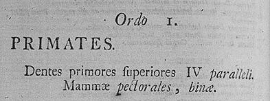 Carl Linnaeus (1707-1778) A természeti világ sokfélesége és az emberi kultúrák és formák