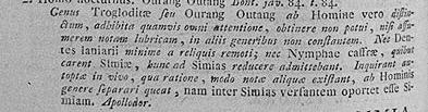 vagy fejlődés eredménye, vagy külön származott? A főemlősők mi a kapcsolat a taxonok között?