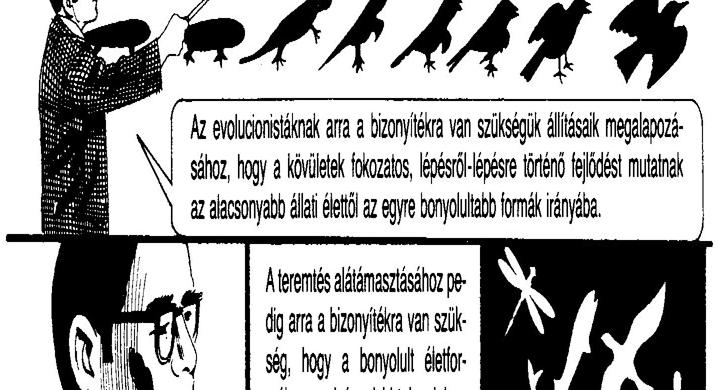Első csoda,