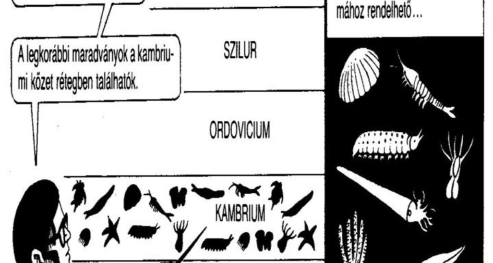 A második