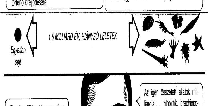 tényeket: A