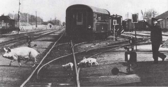 életével, 1865-től napjainkig.