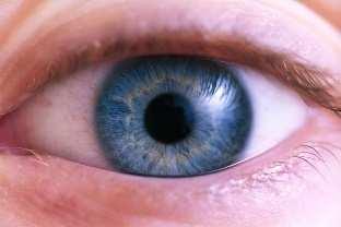 A jövőben alkalmazható intelligens látvány a folyamat bemutatásához Batch/Cullet Humidity New (available) sensors LIBS Laser Induced Breakdown