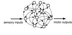 Tanulásra alkalmas neurális rendszerek Egyetlen sejt Előrecsatolt hálózat Rekurrens hálózat Ezen az órán: rátamodell y