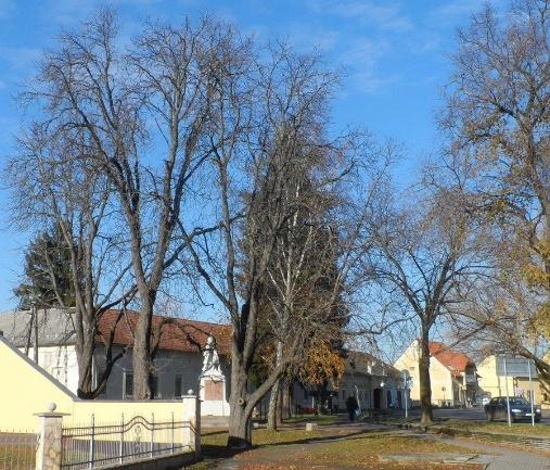 Települési örökségvédelmi hatástanulmány 55 Szentlőrinc, Pécsi út I