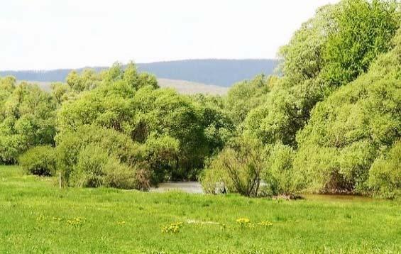 A török veszedelem, majd a Rákóczi-szabadságharc ütközetei és járványai utáni élet adatait vette számba az 1715. évi összeírás, amely során tizenhét jobbágy és öt zsellér családot találtak.