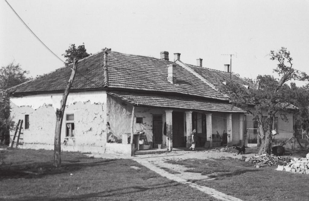 Szécsényi Mihály Lektűr és diktatúra 119 Kolop-tanya az 1960-as évek végén (magántulajdon) tiszt, volt pénzügyminiszter, volt vatikáni követ, minisztériumi tisztviselő, írónő, bárósított zsidó