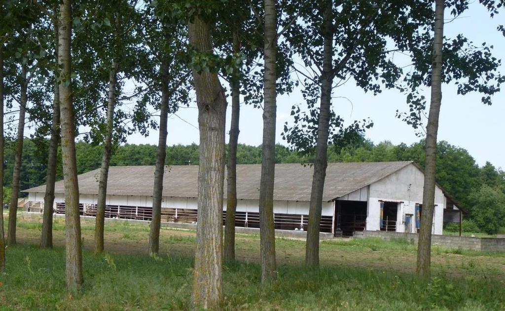A települési szerkezetet és a terület-felhasználást meghatározó tényezők A 4918-as és a 4921-es és a 4922-es számú országos mellékutak, a Nagyecsedi regionális hulladékkezelő megközelítését biztosító