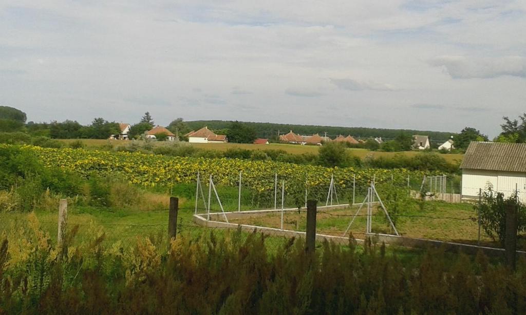 BEVEZETÉS 1 Az építészet a formák rendszerbe szedésével rendet teremt, letisztult szellemi alkotást hoz létre: a formákkal érzékeinkre hat, plasztikai élményeket vált ki, e kapcsolatrendszerrel mély