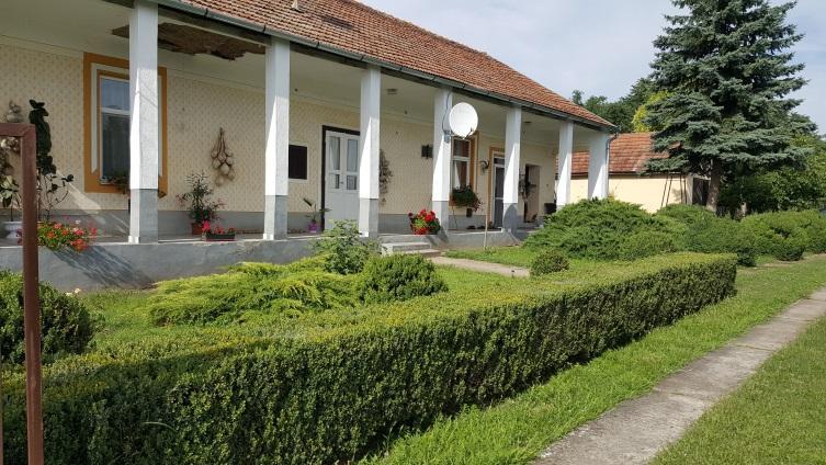 Az előkertbe ültetett fák, cserjék helyének megválasztásakor vegyük figyelembe a ház homlokzati kialakítását, nyílászáróinak elhelyezését.