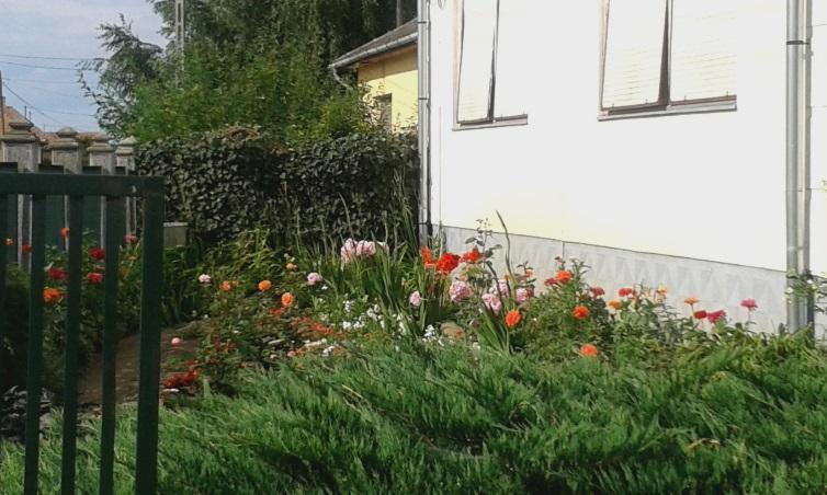 A ház méreteinek érzetét a környező növényzettel befolyásolhatjuk. Szándékunk szerint magas növényzettel csökkenthetjük, alacsony növényekkel növelhetjük a ház méretének érzetét.