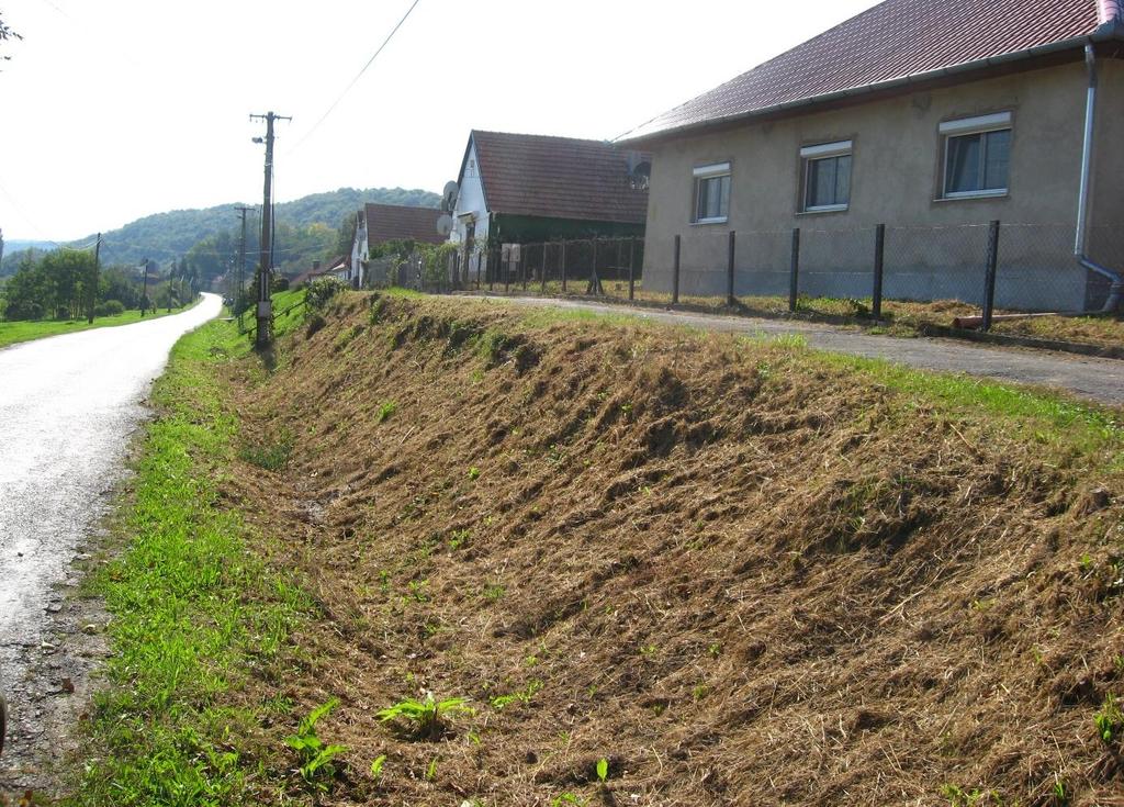 tuja-sor fogadja a látogatót, a haza