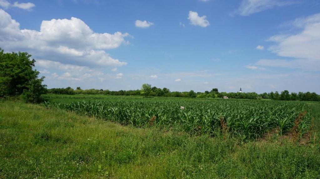 A település örökségi értékéhez nemcsak az épített örökség, hanem a természeti, táji értékek is hozzájárulnak.