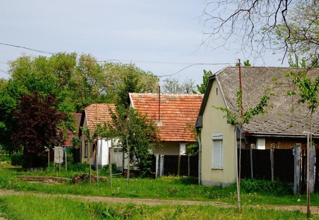 A szélesebb telkeken utcával párhuzamos gerincű szárnyat, vagy keresztbe beforduló belső épületszárnyat is alkalmazhatunk, vigyázva arra, hogy ne vágja ketté a kertet elő és