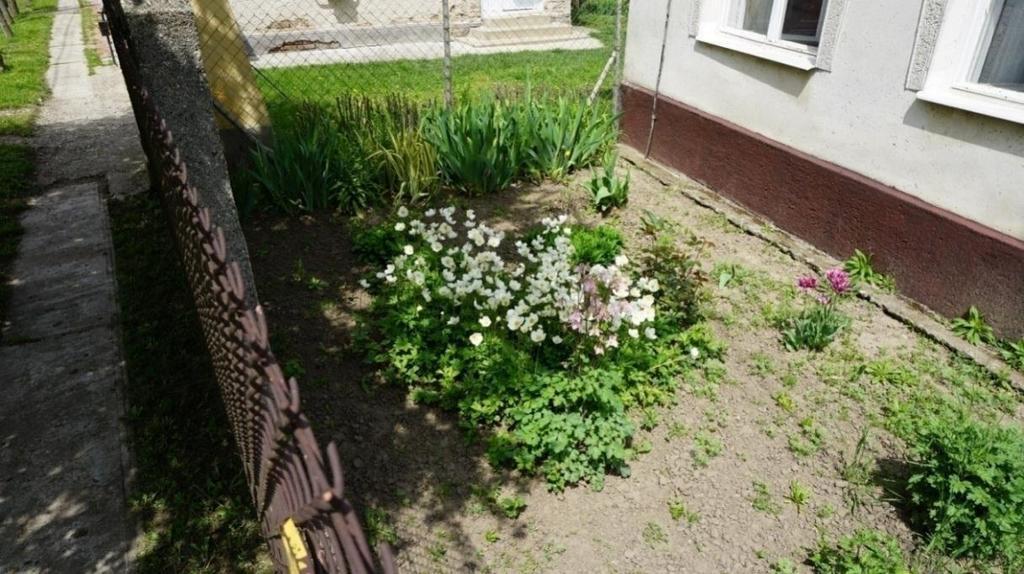 Az előkert, mint virágoskert funkcionál vegyes, egynyári és évelő növények beültetésével.
