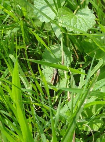 A mindennap használatban lévő gépjárművünket igyekezzünk épületben elhelyezni, hogy