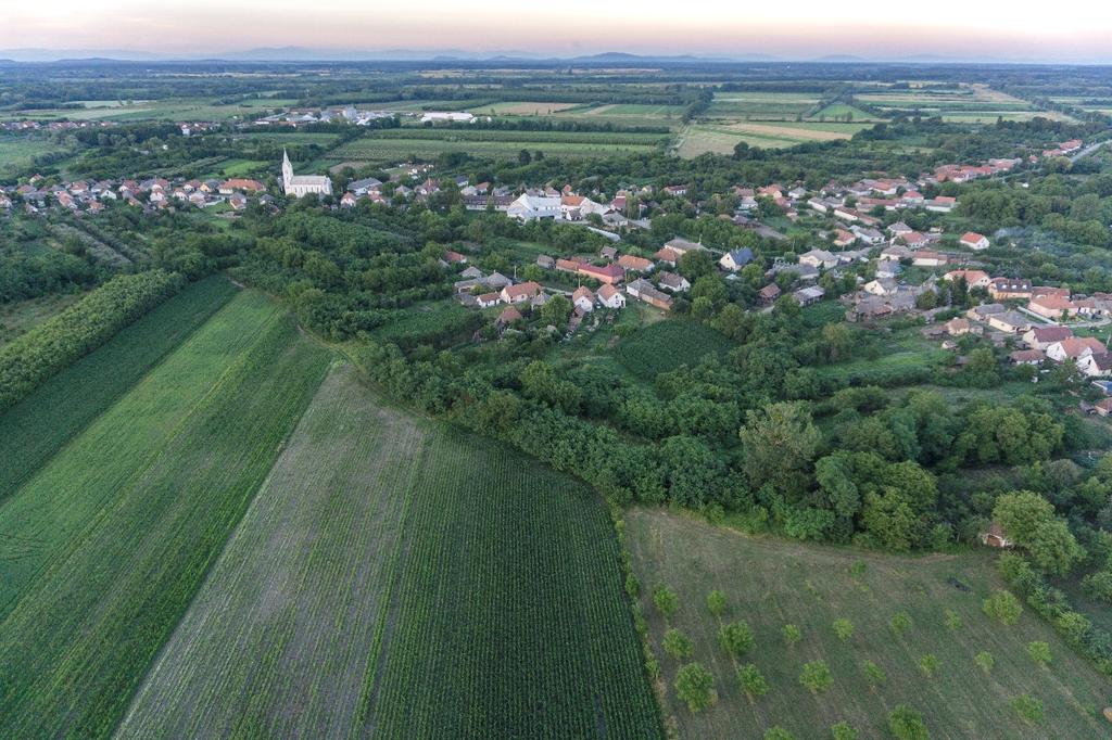 Jánd Község Önkormányzata 4841 Jánd Tisza út