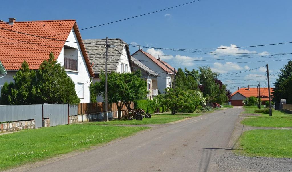 feny fa és kisebb zöld sövény visszafogott