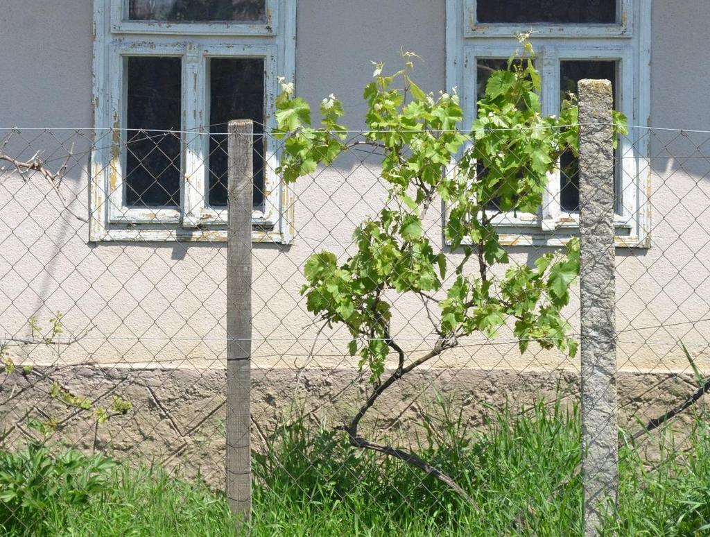 A barna, zöld vagy fekete színek használata volt jellemz.