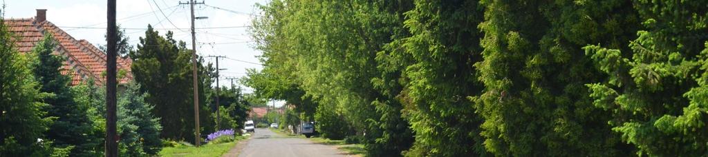 területigénye, rendszeres metszést