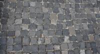 (margaréták, legényvirágok, dáliák, őszirózsák, és egyéb, labdarózsák, tearózsák, muskátlik, stb.