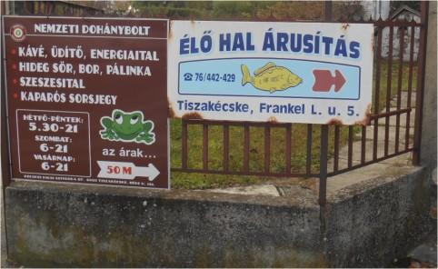 Nagyon fontos az is, hogy a cégérek, üzletfeliratok elhelyezésére szabályokat állapítson meg az
