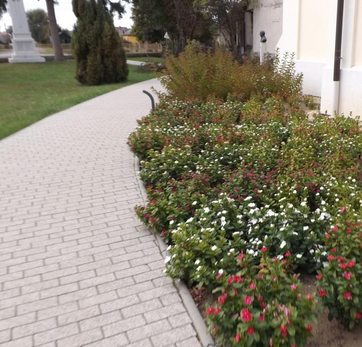 útmutatója Ajánlás: Javasolt a