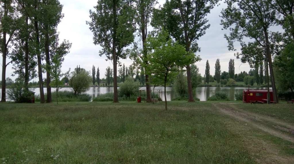 A Felső-Tápió és a Kókai ág mentén védett lápos területek találhatók a település déli határai közelében.