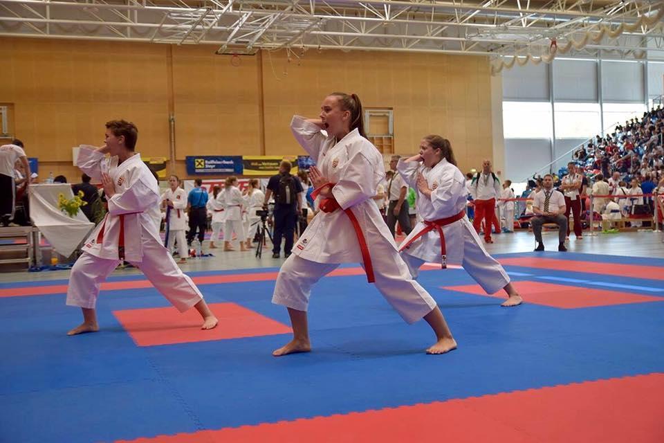 Karate Az iskolában kezdtem el karatézni, hatévesen. Ez az edzés egy év után megszűnt, de az edzőm áthívott, hogy menjek el az igazi edzésre.