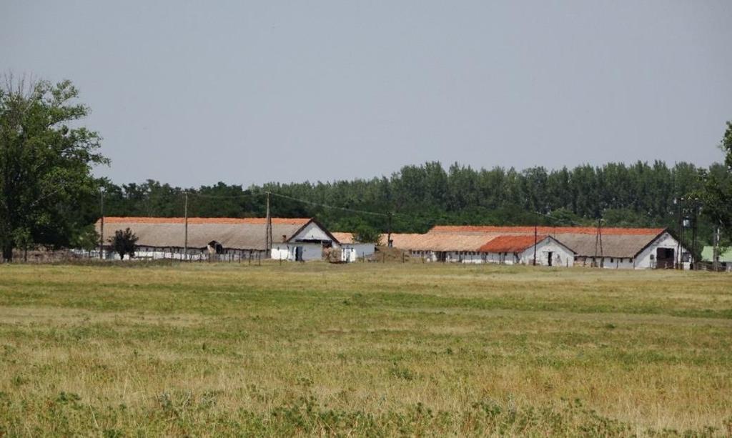 Tiszaroff külterületén a Közép-Tiszai Tájvédelmi körzet felügyelete alá esik a Tisza ártere és a múlt században a folyó szabályozásakor keletkezett védett holtágak is.