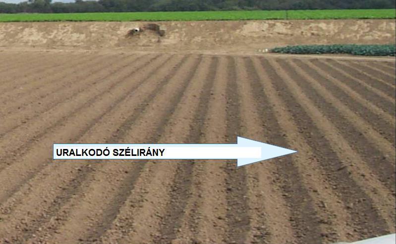 Az uralkodó szélirányra merőleges ormok A különböző kultúrnövényekkel folytatott kísérletekből kiderült, hogy a szélirányra merőlegesen vetett soroknál, az ugráló mozgással haladó talajszemcsék