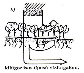 Kilúgzásos típus A kilúgzás:a vízben oldódó anyagok kimosódása a talajszelvényből, tulajdonképpen a mállás velejárója.