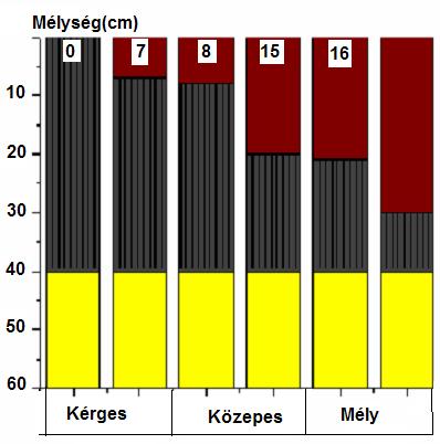 A réti szolonyec típusú