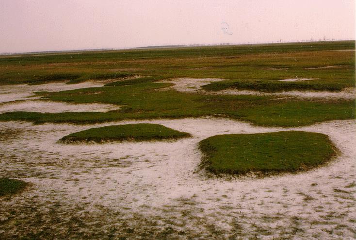 Talajhasználati