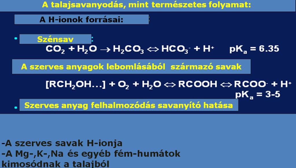 A szén ciklushoz