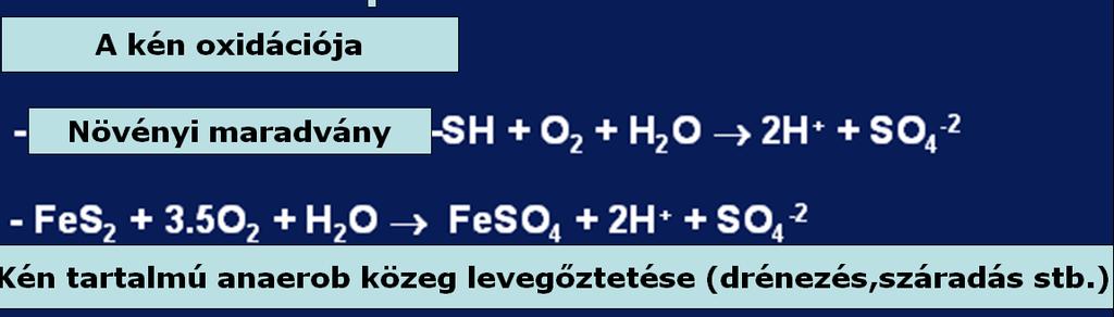 Proton termelő és fogyasztó