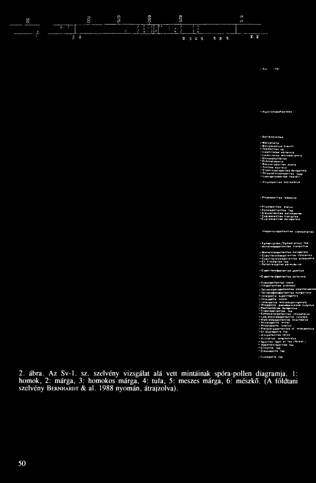 h ln a tlap o ria Baculatiaporilaa ovalla -T r l ll t a a aaoi'dua C lc a trco a la p o rlta a doroganala Polypodlacaolaporliaa fapp aa vígat oaporltaa haardtii PltyoapofM aa m lcroalatua - P ltyo