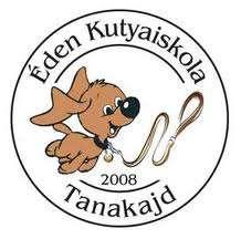 Egészségügyi gázmester