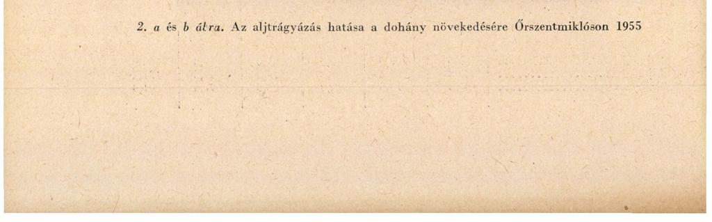 2. a és b álra.