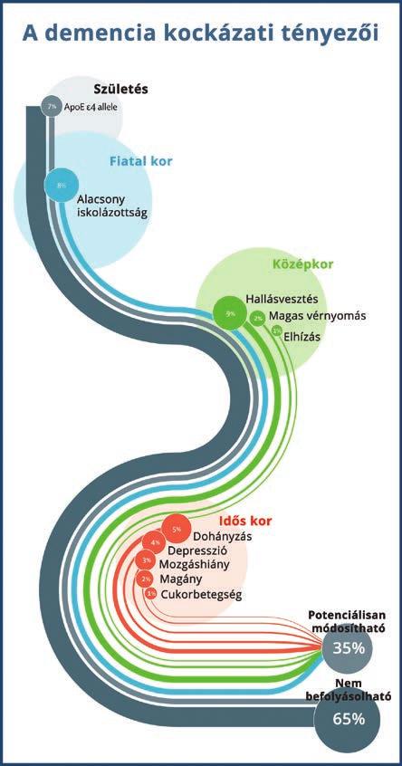 ÉLETMÓD VÁLTOZTATÁSSAL A DEMENCIA ELLEN A demenciás esetek harmadát lehetne kiküszöbölni, ha az emberek jobban figyelnének a mentális egészségükre életük során.