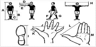 Dátum A. Testmagasság és testsúly B. 1 m vagy 1 yd testeden C. Térdmagasság D. Karhossz E. Alsókarhossz F. Lépéshossz G. Hány lépés 10m vagy 10 yd H. Karfesztáv I. Láb J. Nagyarasz K. Hüvelykujj L.