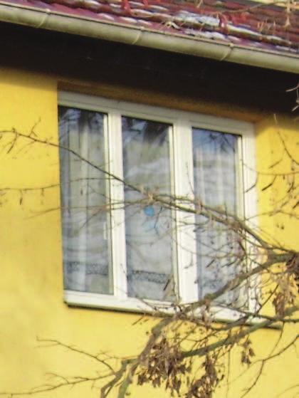 A településközpont településrészen hosszanti kialakítású, keskenyebbnek tűnő ablakokat figyelhetünk meg(a múlt értékeiként is).