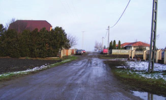 Kerüljük a szemmagasságban takaró növények alkalmazását, legfőképpen a kereszteződésekben, utóbbinál a gépkocsiban ülők szabadkilátást se akadályozzuk növényekkel. Telepítsünk max.