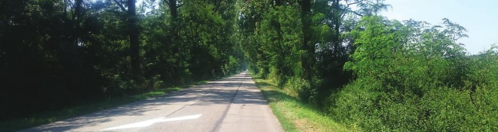 A település külterületén, valamint a belterület határán a deflációra hajlamos homoktalajok megkötésére védőfásítás telepítése javasolt őshonos fafajok alkalmazásával, melyek jól bírják a szélsőséges