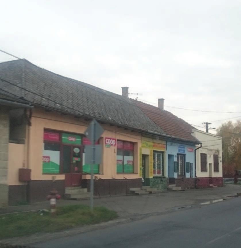Nyírmihálydi bemutatása 7 A 16. században Rácmihálydinak nevezték a települést, mivel főként Rácok lakták.