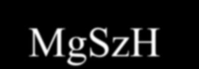 ELNÖK MgSzH Központ ELNÖKI TITKÁRSÁG JOGI ÉS HUMÁNPOLITIKAI IGAZGATÓSÁG BELSŐ ELLENŐRZÉSI ÖNÁLLÓ OSZTÁLY RENDSZERSZERVEZÉSI ÉS FELÜGYELETI IGAZGATÓSÁG INFORMATIKAI IGAZGATÓSÁG NEM FÜGGETLENÍTETT